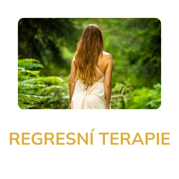 regresni_terapie_mini_2